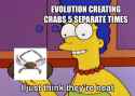 34 KB