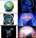 162 KB