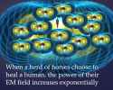 130 KB