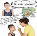 81 KB