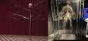 1.36 MB