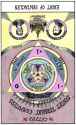 321 KB