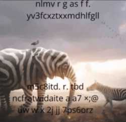 77 KB