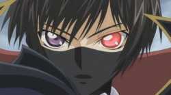229 KB