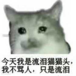 99 KB