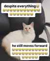 155 KB