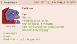 29 KB