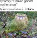 141 KB
