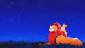 1.23 MB