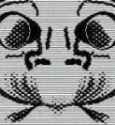 38 KB