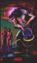 1.95 MB