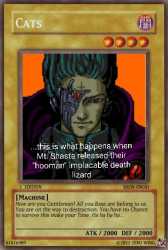 53 KB