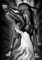 Rule 34 Rule 34 Image