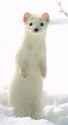 486 KB