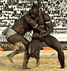 Senegalese-wrestlers