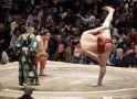 Abi epitomizing sumo perfection