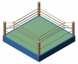 boxe_ring_3d