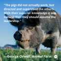 animal_farm_by_george_orwell_quotes_the_pigs_did_not_actually_work_but_directed_and_supervised_the_others