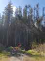 20250420_152109-min