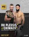 ufc-319
