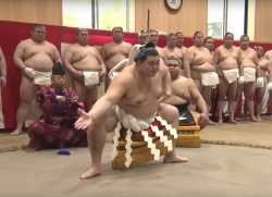 /sumo/ - Off-Basho General