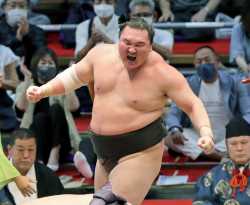 /sumo/ - Off-Basho General