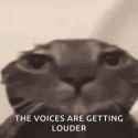 5465