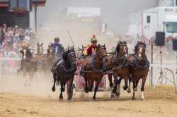 horse-race-7398652_1280