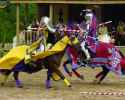 texas-renaissance-festival-jousting-1024x823