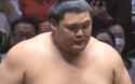 The Sato