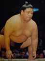 Terunoumi Masato