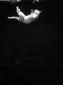 falling-kitty