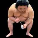 guardian spirit