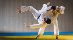 judo