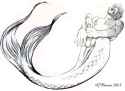 Merman3ab_Harry_Bush03b__anonib09:18:07